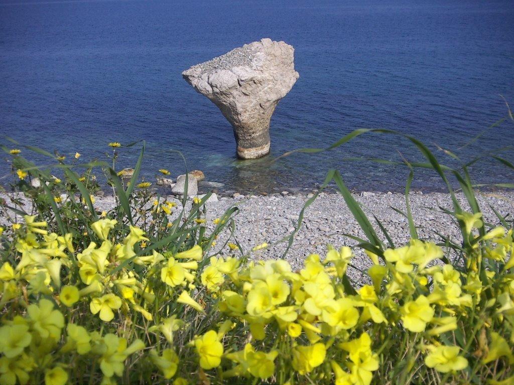 Residence Torre Saracena 빌라피아나 외부 사진